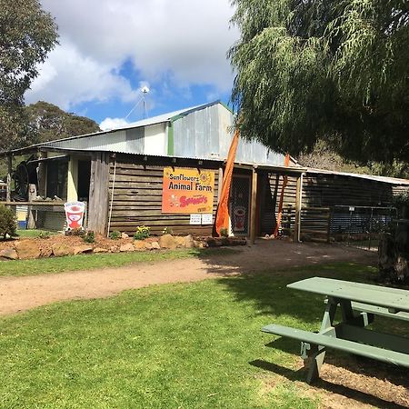 Sunflowers Animal Farm & Farmstay Margaret River Exterior photo