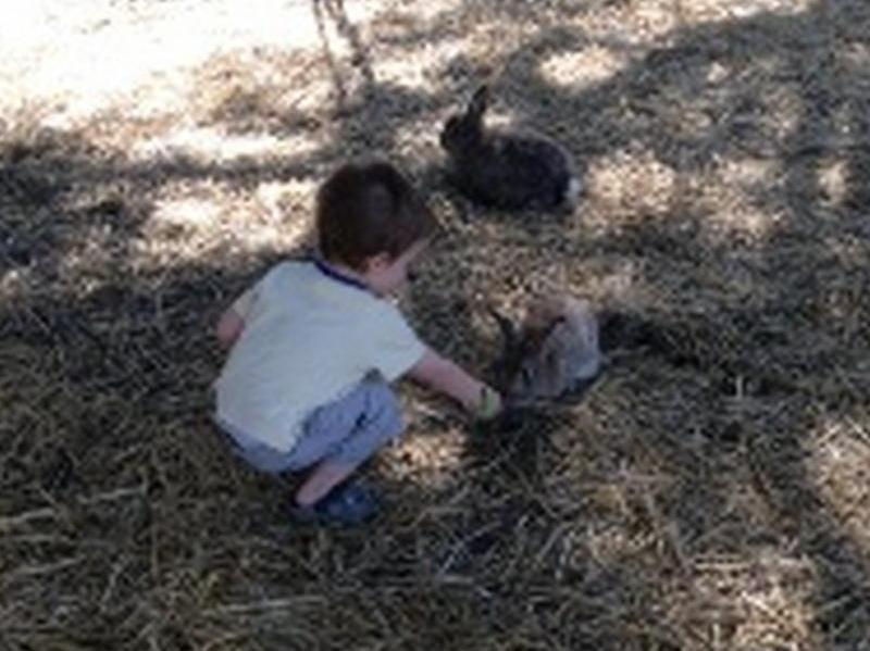 Sunflowers Animal Farm & Farmstay Margaret River Exterior photo
